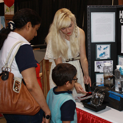 完全免费不要钱的免费cc攻击测试